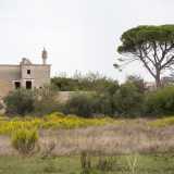 Masseria Caffariello, edificio storico tra i pi� isolati e �imboscati� della terra di Bari. La struttura prende il nome da colui che l�ha fatta costruire: Gaetano Majorano, meglio conosciuto con il nome di �Caffariello�, una delle pi� grandi voci della musica lirica di ogni tempo